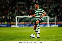 麻将高手的共性（顶尖麻将玩家的共同特质）