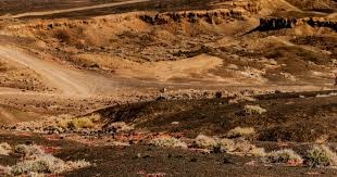 什么是“虚假控制”？你以为自己在掌控（虚假掌控感：你真的在主导吗？）